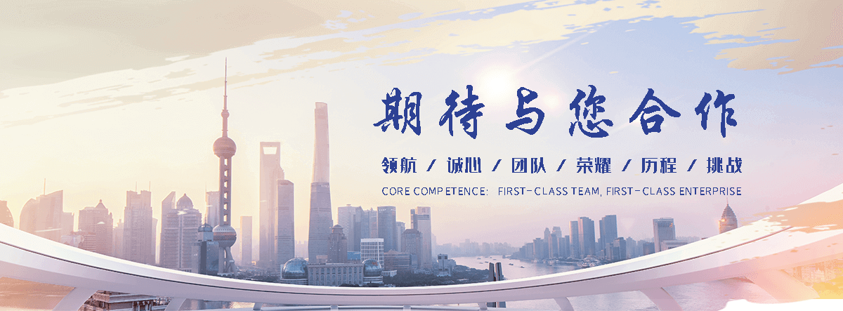 临沂海狮租赁公司